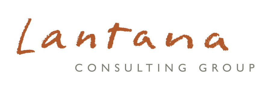 lantanagroup.com