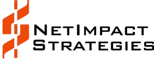 netimpactstrategies.com