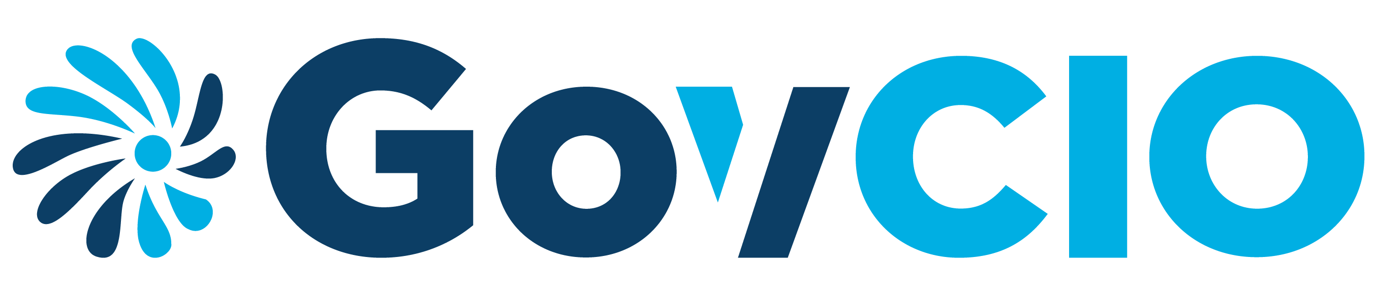 governmentcio.com